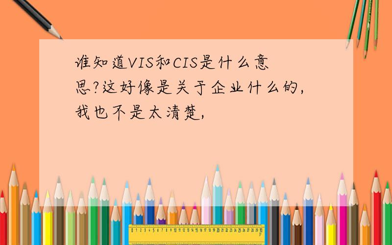 谁知道VIS和CIS是什么意思?这好像是关于企业什么的,我也不是太清楚,