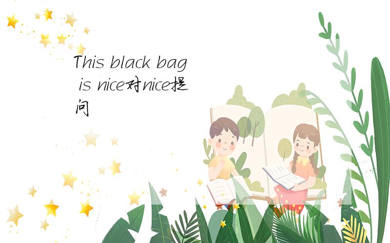 This black bag is nice对nice提问