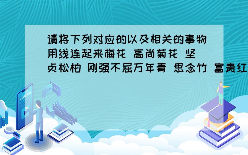 请将下列对应的以及相关的事物用线连起来梅花 高尚菊花 坚贞松柏 刚强不屈万年青 思念竹 富贵红豆 友谊长存牡丹 高洁