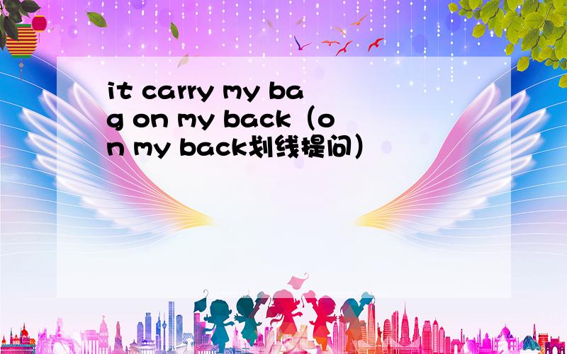 it carry my bag on my back（on my back划线提问）