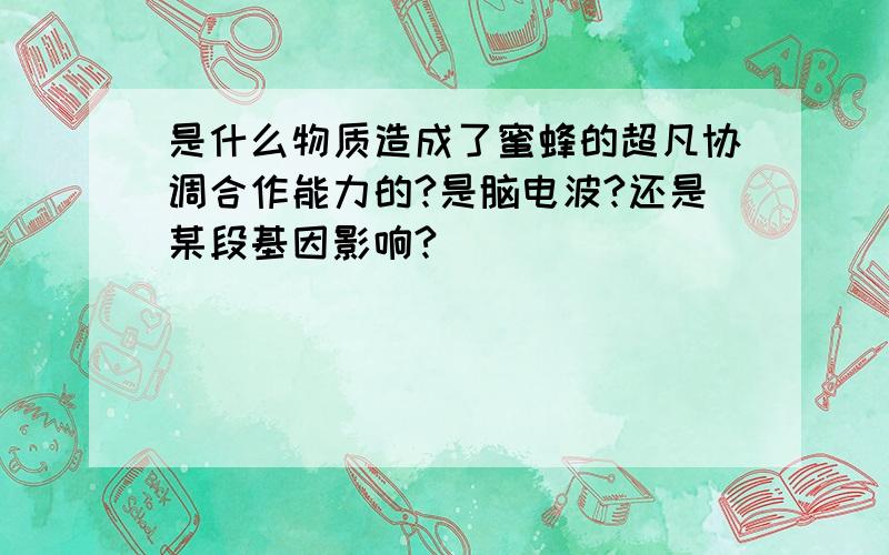 是什么物质造成了蜜蜂的超凡协调合作能力的?是脑电波?还是某段基因影响?