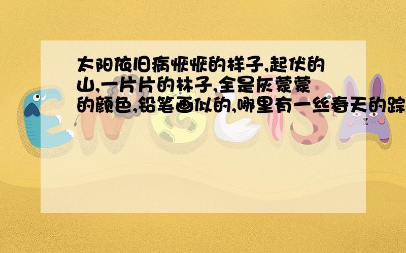 太阳依旧病恹恹的样子,起伏的山,一片片的林子,全是灰蒙蒙的颜色,铅笔画似的,哪里有一丝春天的踪迹?换个意思