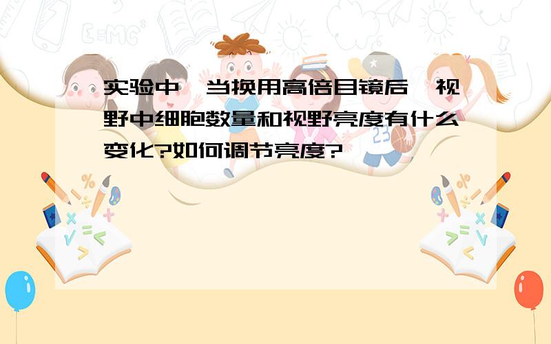 实验中,当换用高倍目镜后,视野中细胞数量和视野亮度有什么变化?如何调节亮度?