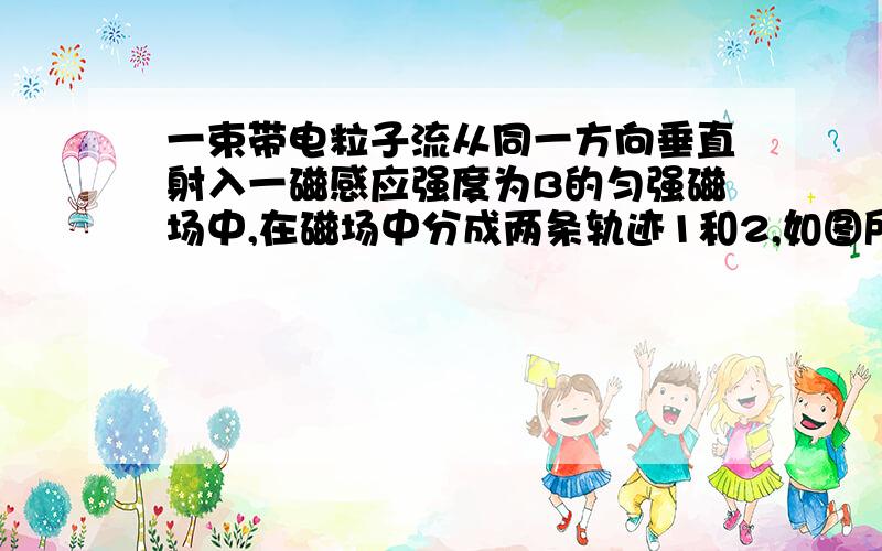 一束带电粒子流从同一方向垂直射入一磁感应强度为B的匀强磁场中,在磁场中分成两条轨迹1和2,如图所示.那么它们的速度v、动量p、电荷量q,比荷q/m的关系可以肯定的是(    )为什么选AD,我觉得