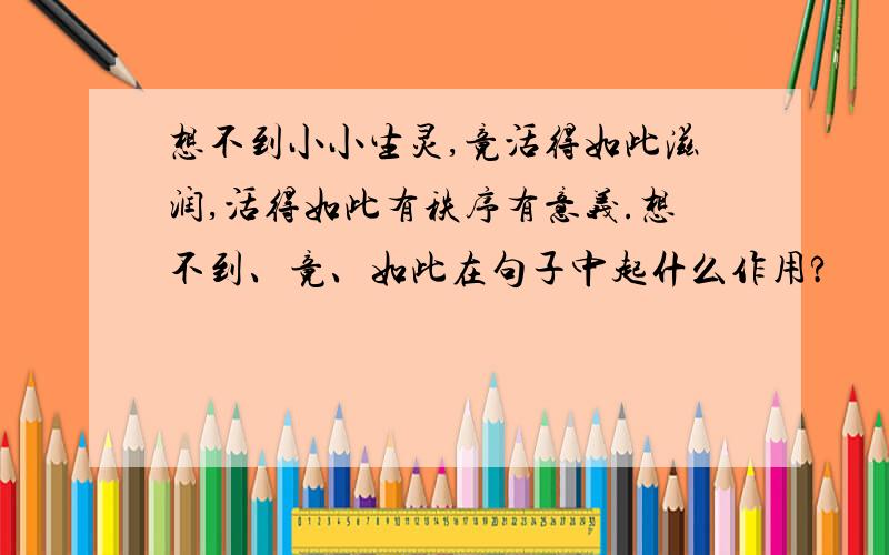 想不到小小生灵,竟活得如此滋润,活得如此有秩序有意义.想不到、竟、如此在句子中起什么作用?