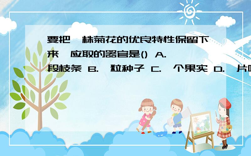 要把一株菊花的优良特性保留下来,应取的器官是() A.一段枝条 B.一粒种子 C.一个果实 D.一片叶子正确答案是A ,可是 ,为什么是A?理由!