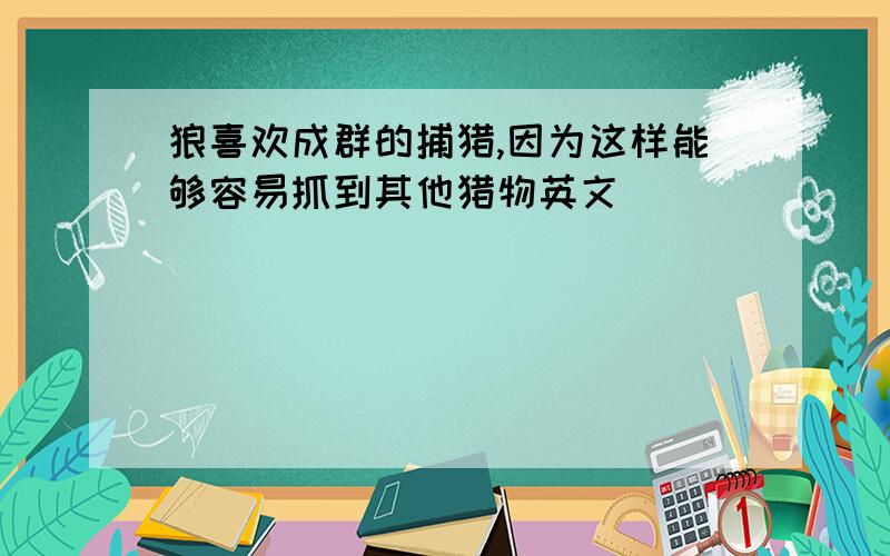 狼喜欢成群的捕猎,因为这样能够容易抓到其他猎物英文