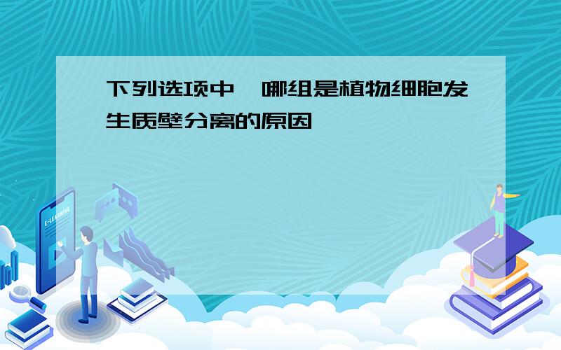 下列选项中,哪组是植物细胞发生质壁分离的原因