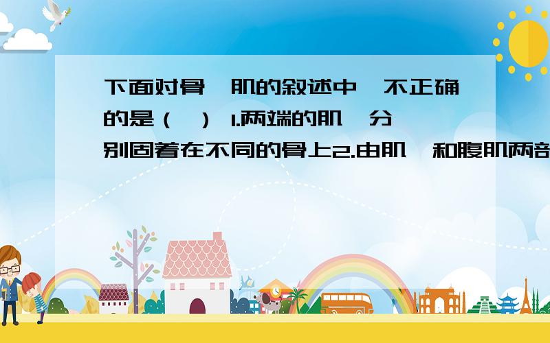 下面对骨骼肌的叙述中,不正确的是（ ） 1.两端的肌腱分别固着在不同的骨上2.由肌腱和腹肌两部分构成3.任何一块肌肉受到刺激后都能收缩4.两端的肌腱都固着在同一块骨上