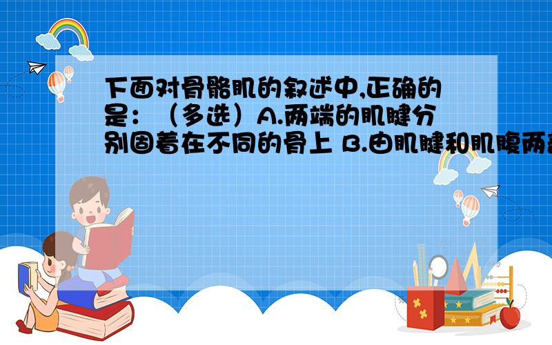 下面对骨骼肌的叙述中,正确的是：（多选）A.两端的肌腱分别固着在不同的骨上 B.由肌腱和肌腹两部分构成 C.受到刺激后能收缩 D.肌细胞具有收缩功能