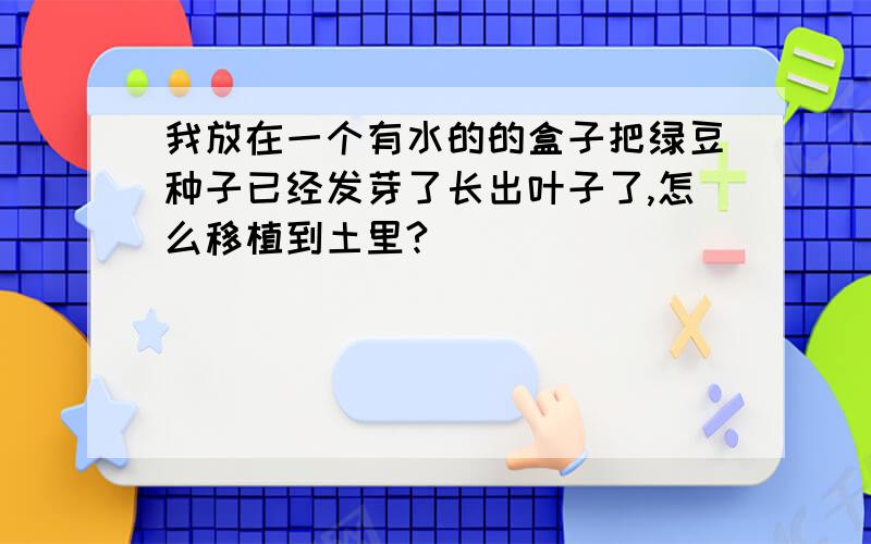 我放在一个有水的的盒子把绿豆种子已经发芽了长出叶子了,怎么移植到土里?