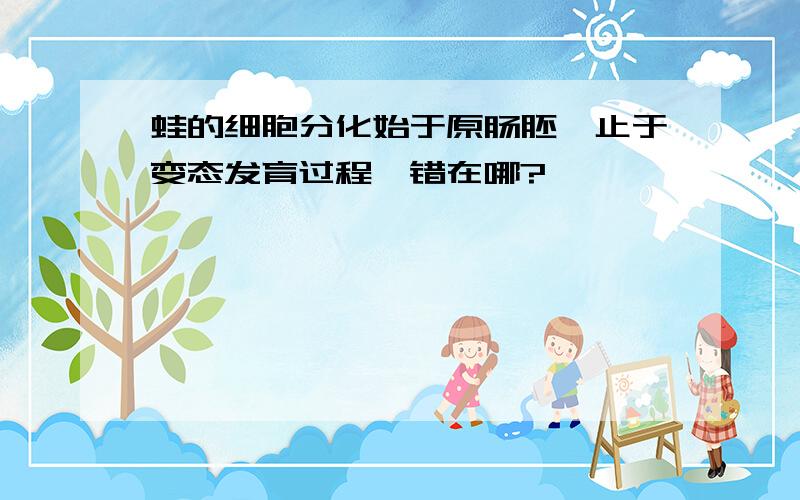 蛙的细胞分化始于原肠胚,止于变态发育过程,错在哪?