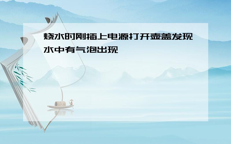 烧水时刚插上电源打开壶盖发现水中有气泡出现