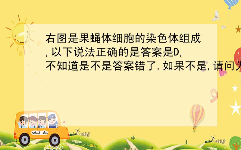 右图是果蝇体细胞的染色体组成,以下说法正确的是答案是D,不知道是不是答案错了,如果不是,请问为什么,如果是,选什么,以及为什么,谢谢