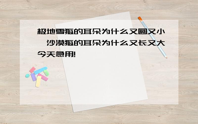 极地雪狐的耳朵为什么又圆又小,沙漠狐的耳朵为什么又长又大今天急用!