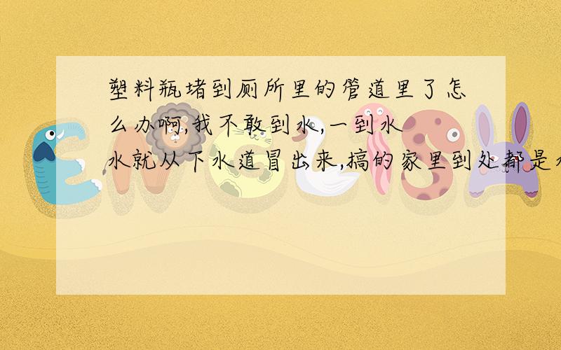 塑料瓶堵到厕所里的管道里了怎么办啊,我不敢到水,一到水 水就从下水道冒出来,搞的家里到处都是水,是洗发瓶掉进去了,掉的很深已经看不到了,掏也没用,上厕所都敢,怎么办啊