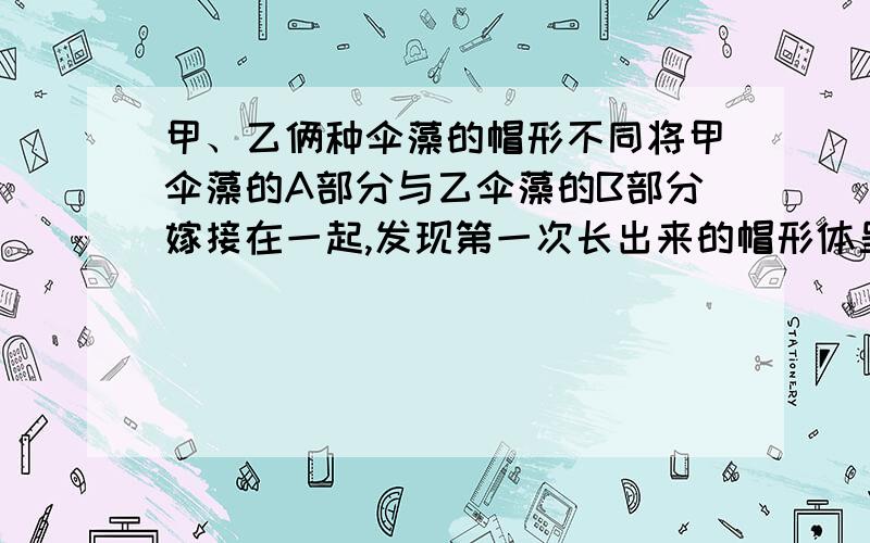 甲、乙俩种伞藻的帽形不同将甲伞藻的A部分与乙伞藻的B部分嫁接在一起,发现第一次长出来的帽形体呈中间型若切除这一帽行第二次长出的帽状体则与甲的帽状体形状相同第一次长出来的帽