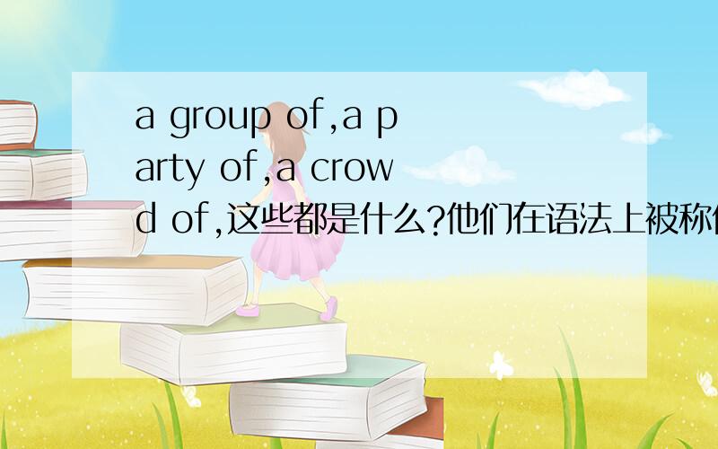 a group of,a party of,a crowd of,这些都是什么?他们在语法上被称做什么？