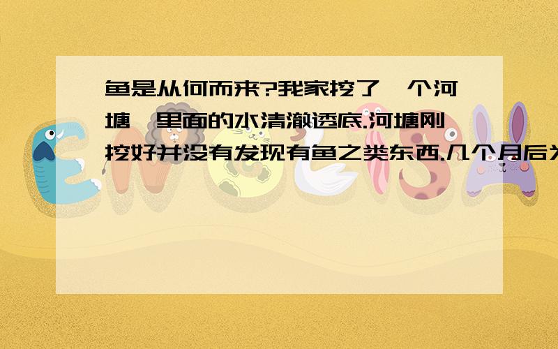 鱼是从何而来?我家挖了一个河塘,里面的水清澈透底.河塘刚挖好并没有发现有鱼之类东西.几个月后为何会有小的鱼苗呢?可以确家不是人工放的.也没有别的河流的水流进河塘.这鱼倒底是怎么