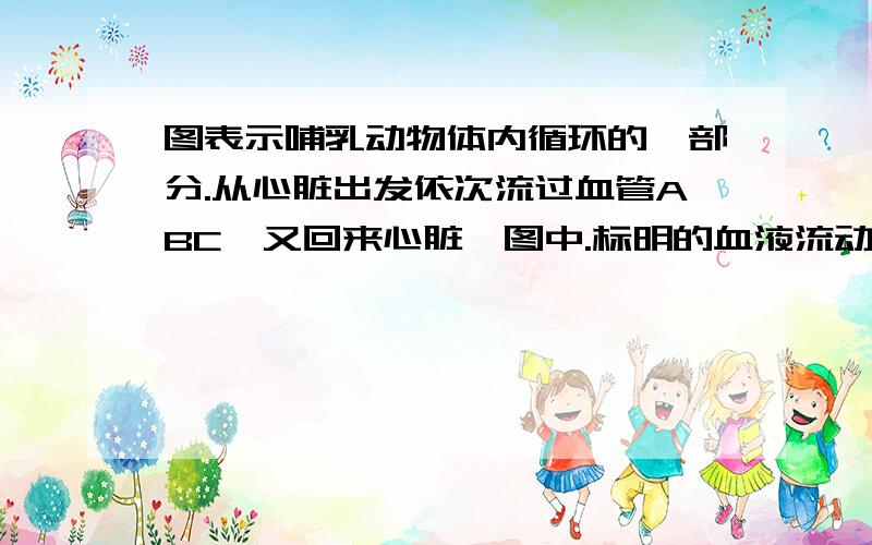 图表示哺乳动物体内循环的一部分.从心脏出发依次流过血管ABC,又回来心脏,图中.标明的血液流动过程中,血压和血液中氧气含量的变化情况,则C血管是A肺动脉 B肺静脉 C主动脉 D上.下腔静脉