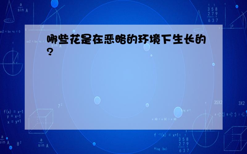 哪些花是在恶略的环境下生长的?