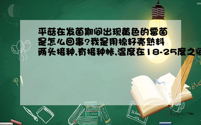 平菇在发菌期间出现黄色的霉菌是怎么回事?我是用棉籽壳熟料两头接种,有接种帐,温度在18-25度之间,大面积出现黄色霉菌,不知如何办?