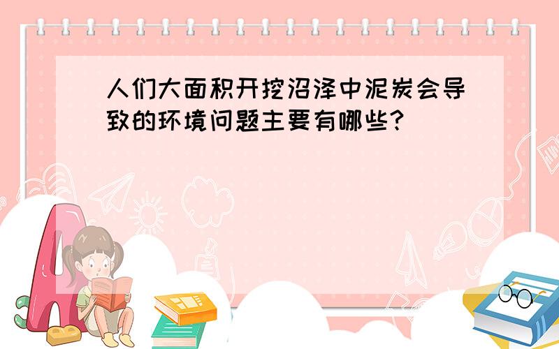 人们大面积开挖沼泽中泥炭会导致的环境问题主要有哪些?