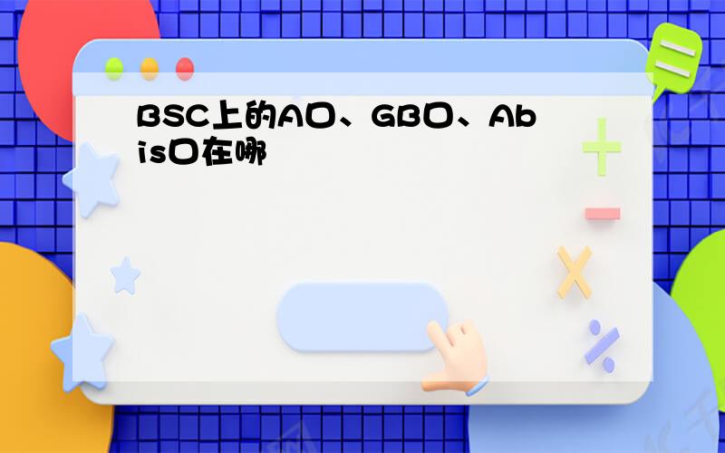 BSC上的A口、GB口、Abis口在哪