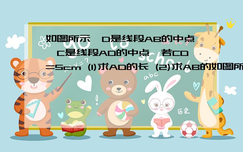 如图所示,D是线段AB的中点,C是线段AD的中点,若CD=5cm (1)求AD的长 (2)求AB的如图所示,D是线段AB的中点,C是线段AD的中点,若CD=5cm(1)求AD的长(2)求AB的长