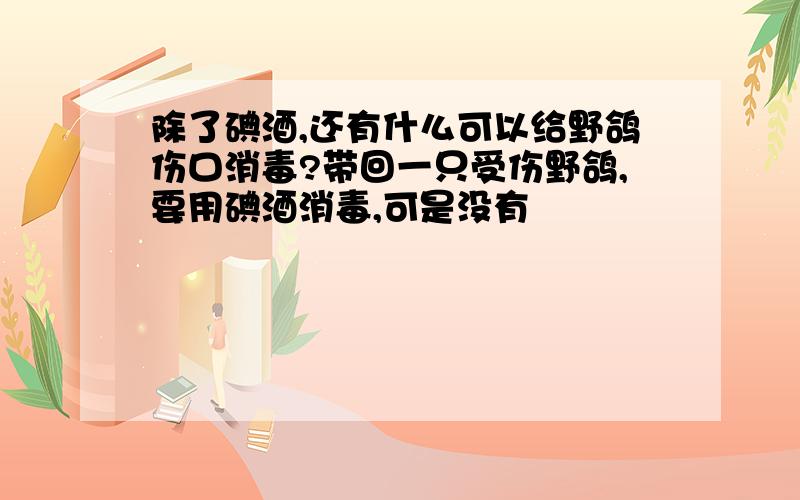 除了碘酒,还有什么可以给野鸽伤口消毒?带回一只受伤野鸽,要用碘酒消毒,可是没有