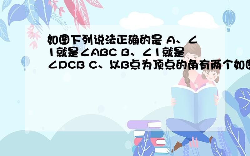 如图下列说法正确的是 A、∠1就是∠ABC B、∠1就是∠DCB C、以B点为顶点的角有两个如图下列说法正确的是   A、∠1就是∠ABC   B、∠1就是∠DCB  C、以B点为顶点的角有两个   D、图中有两个角能