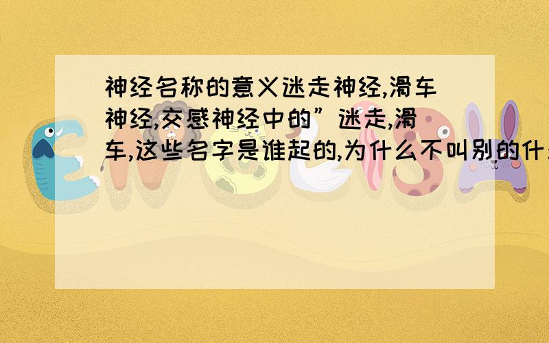 神经名称的意义迷走神经,滑车神经,交感神经中的”迷走,滑车,这些名字是谁起的,为什么不叫别的什么名字呢