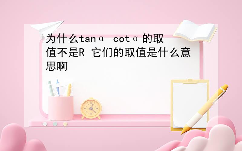 为什么tanα cotα的取值不是R 它们的取值是什么意思啊