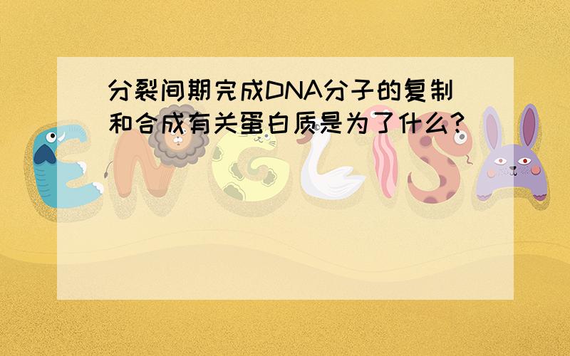 分裂间期完成DNA分子的复制和合成有关蛋白质是为了什么?