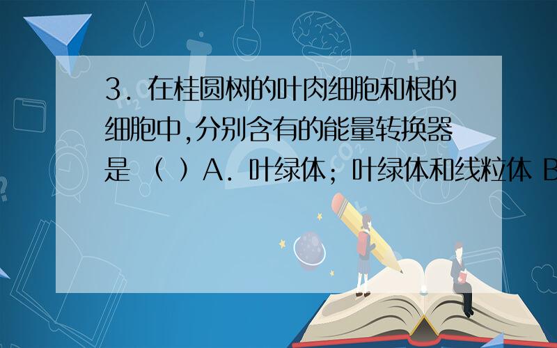 3．在桂圆树的叶肉细胞和根的细胞中,分别含有的能量转换器是 （ ）A．叶绿体；叶绿体和线粒体 B．线粒体；叶绿体和线粒体 C．线粒体和叶绿体；线粒体 D．叶绿体和线粒体；叶绿体