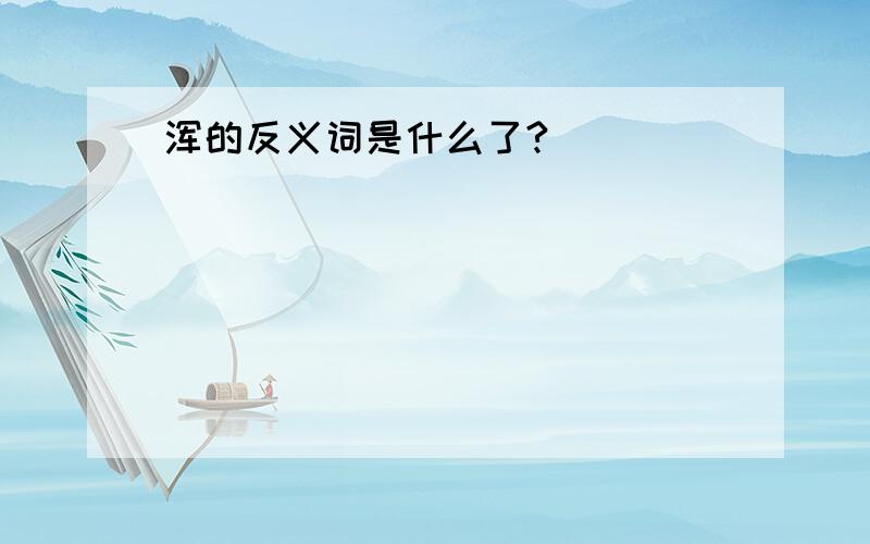 浑的反义词是什么了?