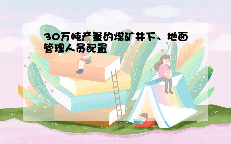 30万吨产量的煤矿井下、地面管理人员配置