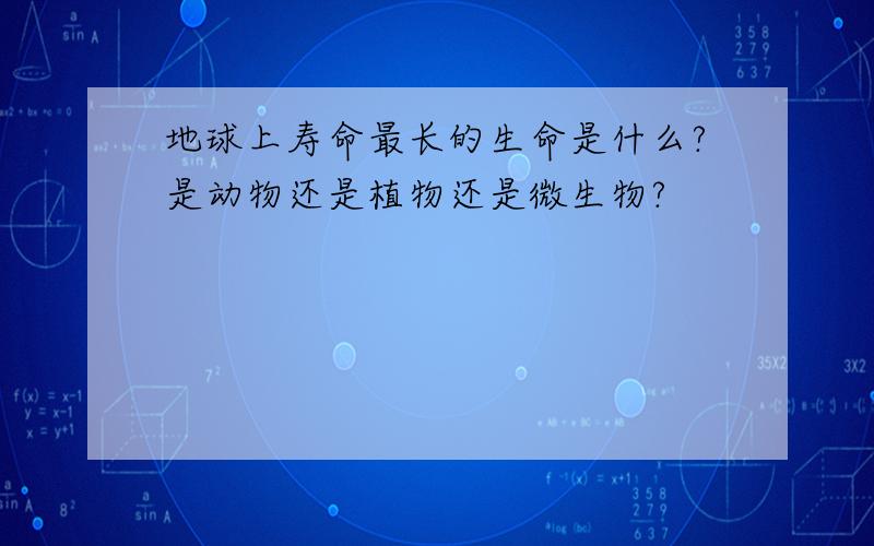 地球上寿命最长的生命是什么?是动物还是植物还是微生物?