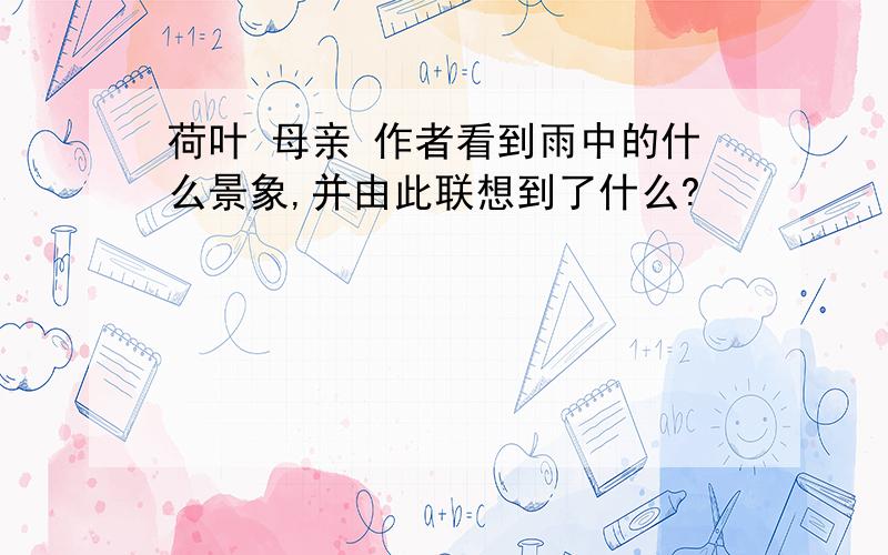 荷叶 母亲 作者看到雨中的什么景象,并由此联想到了什么?