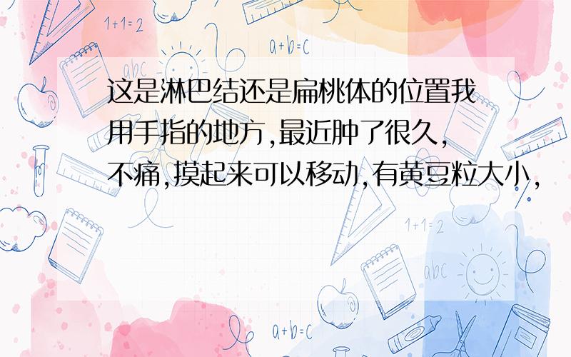 这是淋巴结还是扁桃体的位置我用手指的地方,最近肿了很久,不痛,摸起来可以移动,有黄豆粒大小,