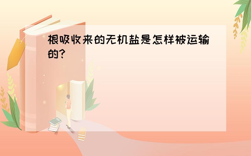 根吸收来的无机盐是怎样被运输的?