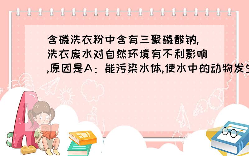 含磷洗衣粉中含有三聚磷酸钠,洗衣废水对自然环境有不利影响,原因是A：能污染水体,使水中的动物发生钠中毒 B：它有较强的酸性,能使水体酸化 C：它是一种肥料,能使水生植物大量繁殖而降