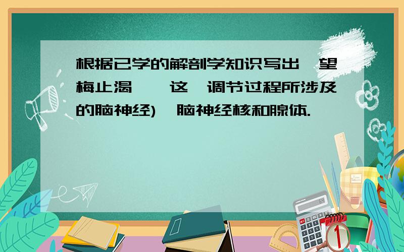 根据已学的解剖学知识写出