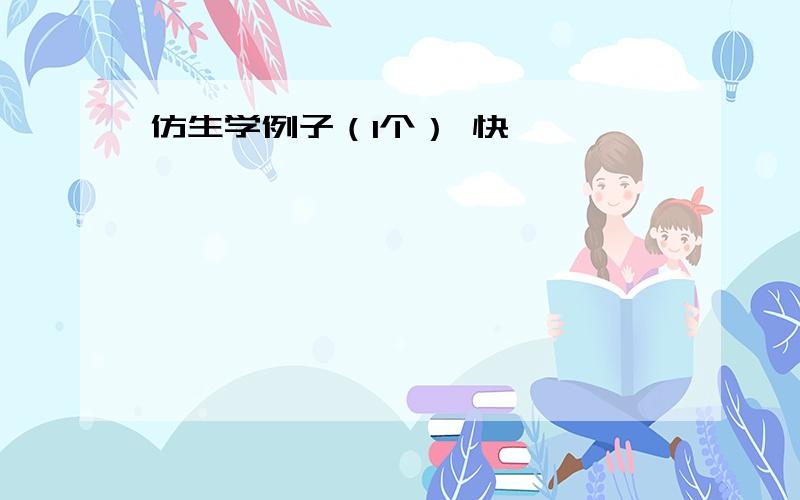 仿生学例子（1个） 快