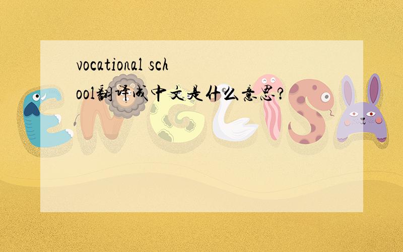 vocational school翻译成中文是什么意思?