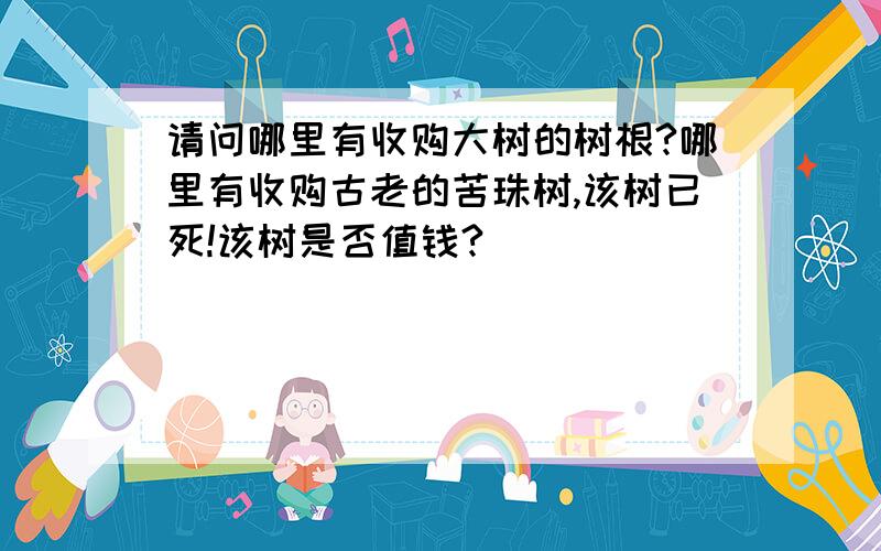 请问哪里有收购大树的树根?哪里有收购古老的苦珠树,该树已死!该树是否值钱?