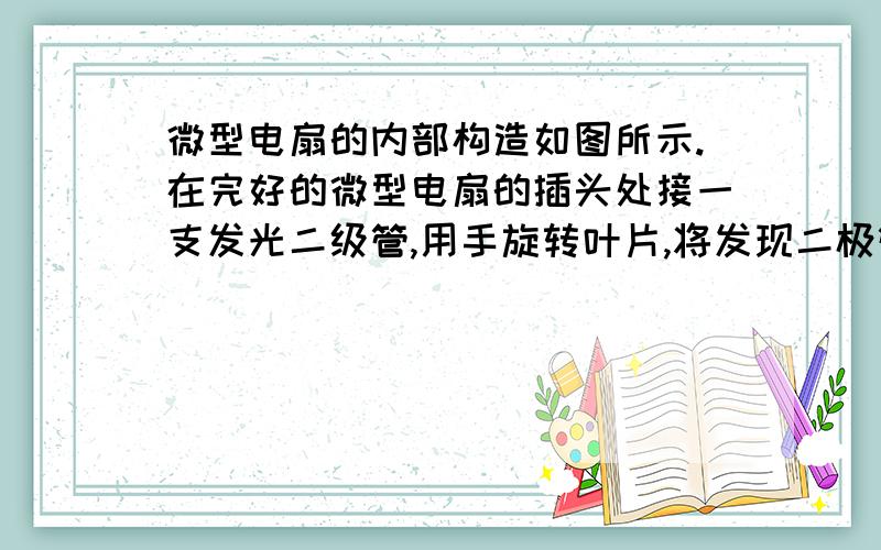 微型电扇的内部构造如图所示.在完好的微型电扇的插头处接一支发光二级管,用手旋转叶片,将发现二极管发光说明?微型电扇接入电路中能转动,其工作原理是?