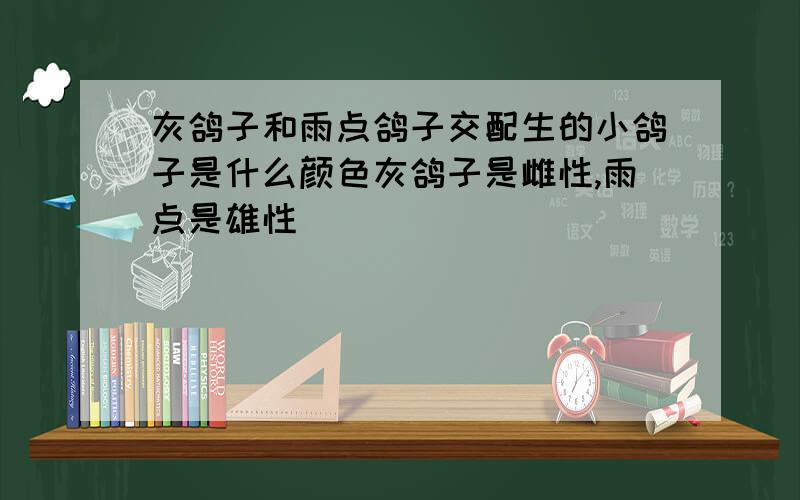 灰鸽子和雨点鸽子交配生的小鸽子是什么颜色灰鸽子是雌性,雨点是雄性