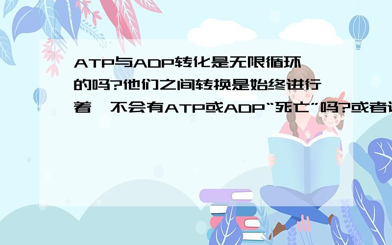 ATP与ADP转化是无限循环的吗?他们之间转换是始终进行着,不会有ATP或ADP“死亡”吗?或者说不会有其他途径产生的ATP或ADP,总是由他们俩之间转换吗?书上写的太不清楚了!如果我描述的不清楚,加