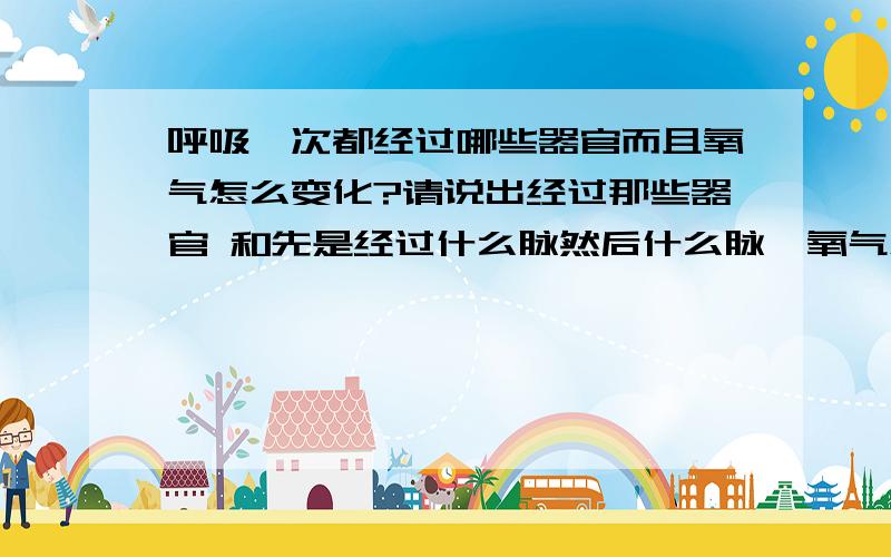 呼吸一次都经过哪些器官而且氧气怎么变化?请说出经过那些器官 和先是经过什么脉然后什么脉,氧气怎么变化 ,怎么回到心脏的什么部位.具体说下.